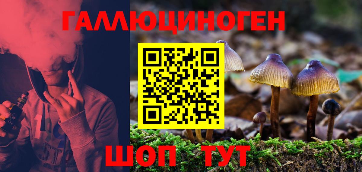 что такое   Псилоцибиновые грибы MAGIC MUSHROOMS  Галлюциногенные грибы Psilocybe  Вход с VPN  Клин 