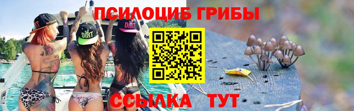 Псилоцибиновые грибы MAGIC MUSHROOMS Клин